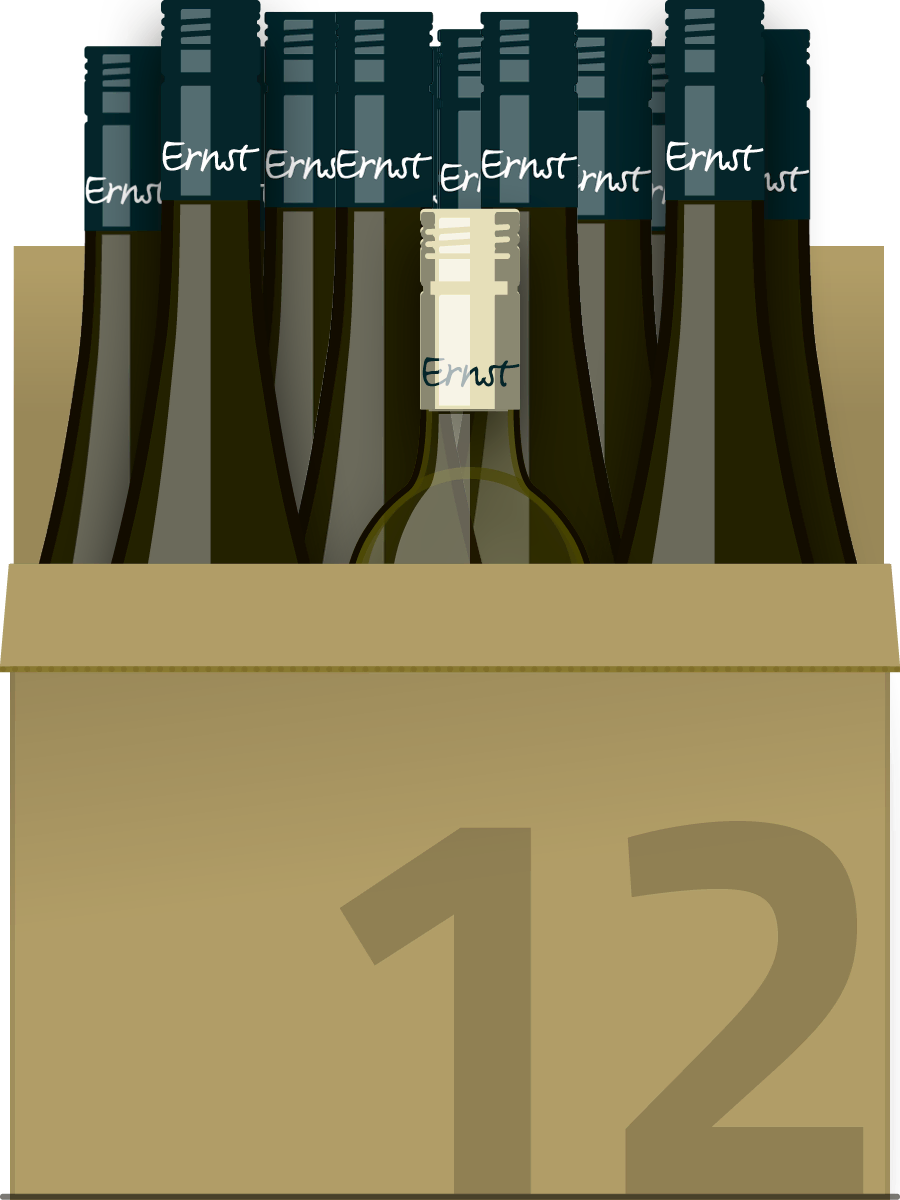 12er Verkostungs  Karton mit aktuellen Weinen