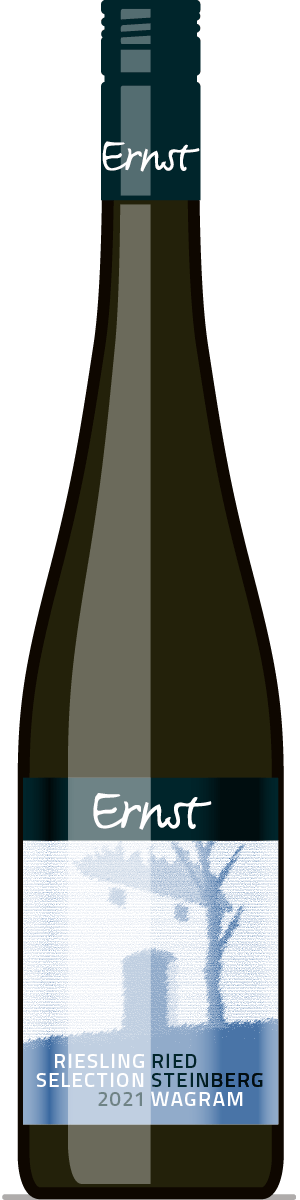 Riesling Selektion Ried Steinberg 2025 Wagram DAC 